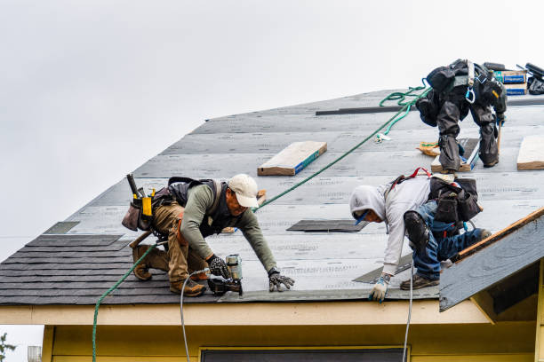 Professional Gutter Installation technician working in Grantville, GA